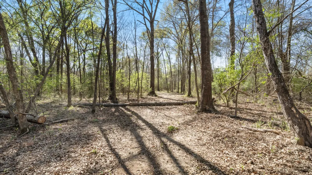 County Road 462 Mineola, TX 75773
