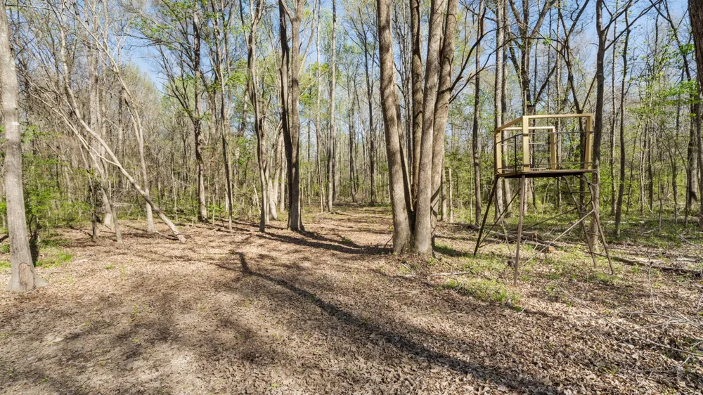 County Road 462 Mineola, TX 75773
