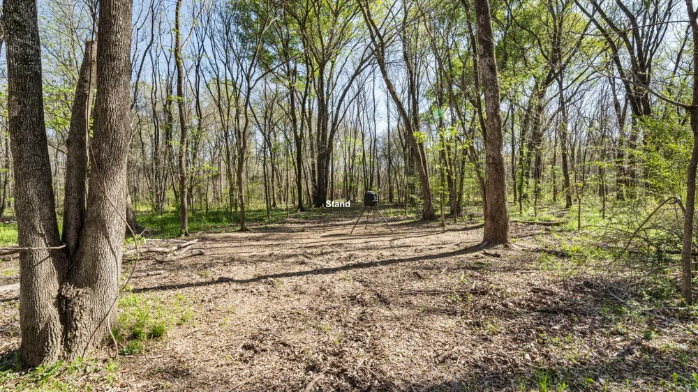 County Road 462 Mineola, TX 75773