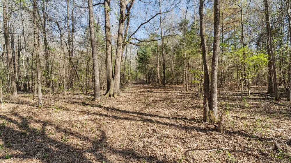 County Road 462 Mineola, TX 75773