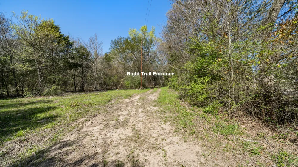 County Road 462 Mineola, TX 75773