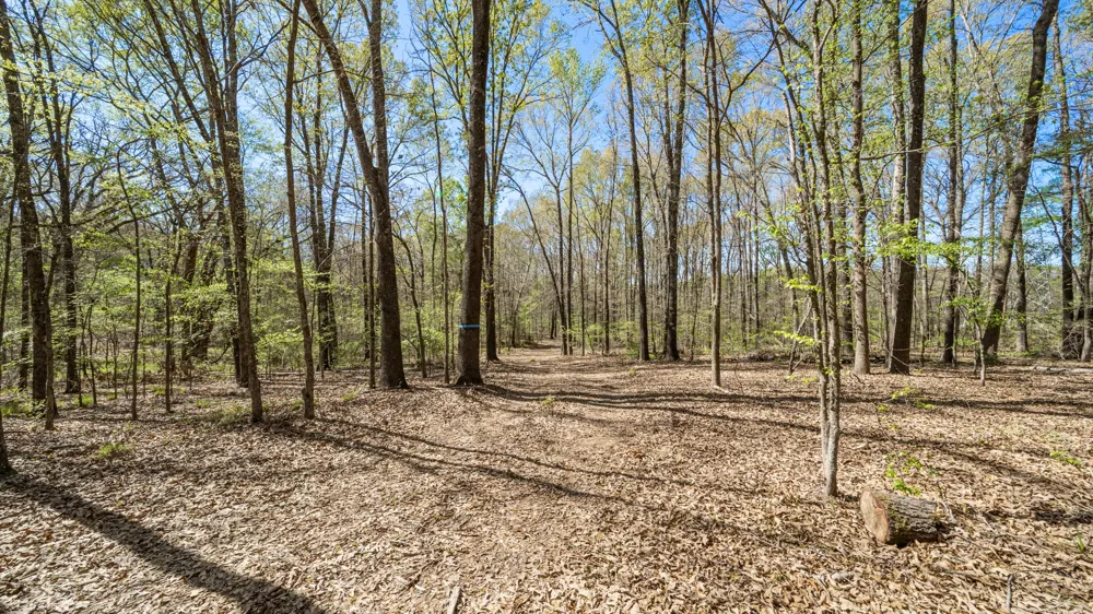 County Road 462 Mineola, TX 75773