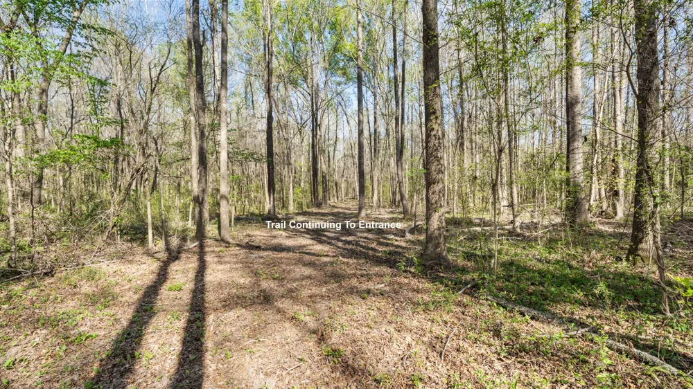 County Road 462 Mineola, TX 75773