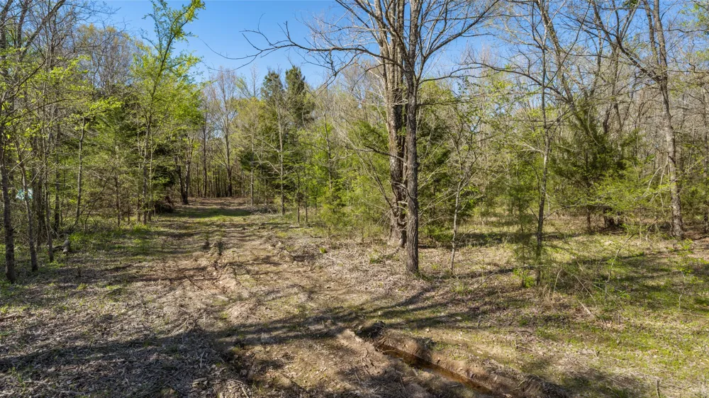 County Road 462 Mineola, TX 75773