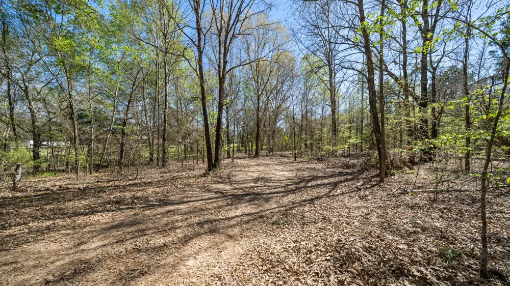 County Road 462 Mineola, TX 75773