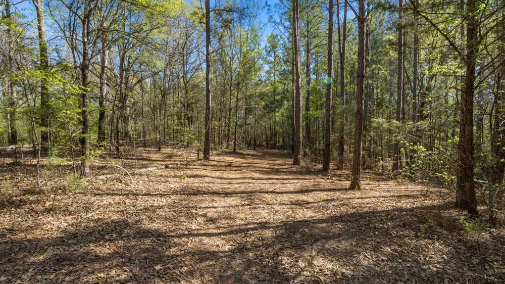 County Road 462 Mineola, TX 75773