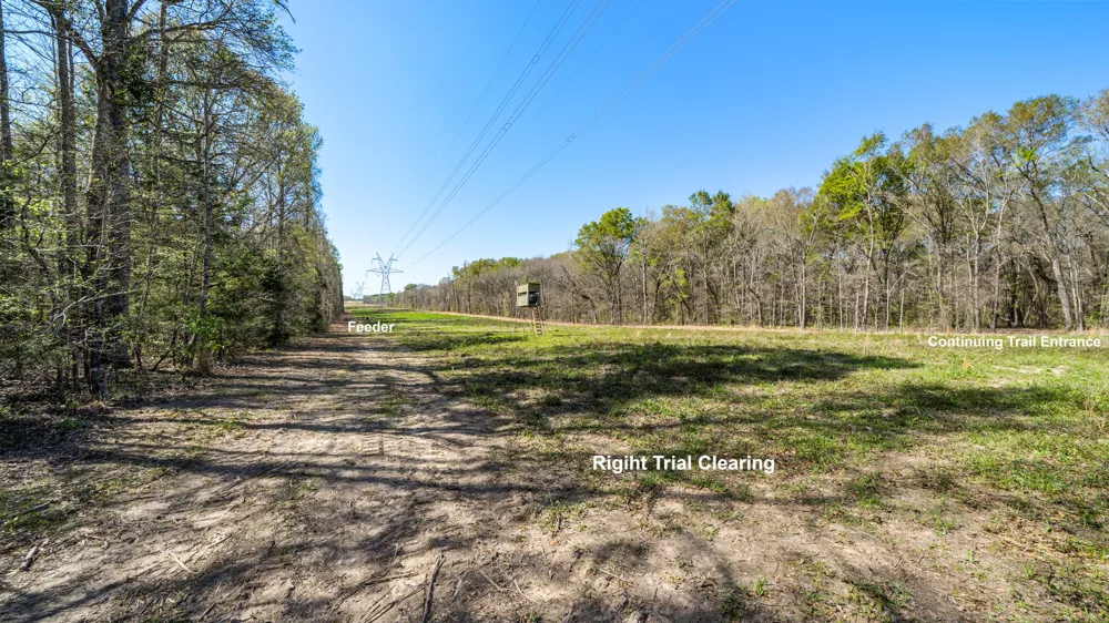 County Road 462 Mineola, TX 75773