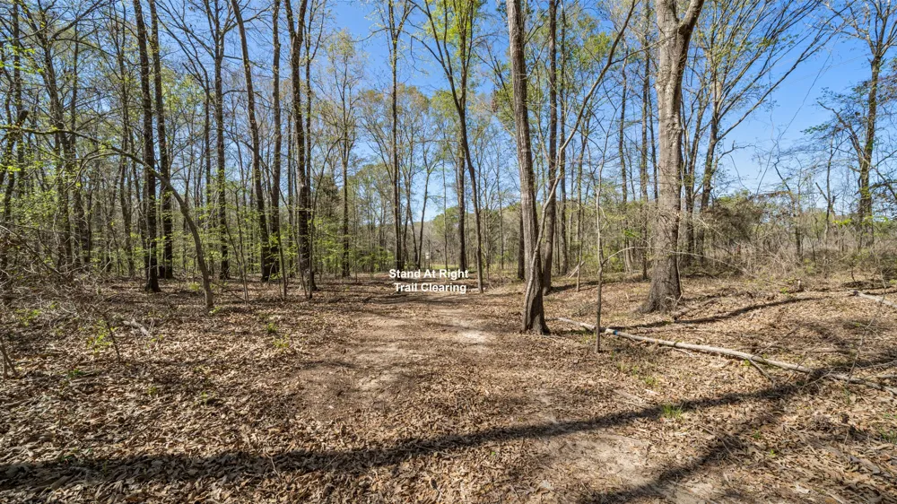 County Road 462 Mineola, TX 75773