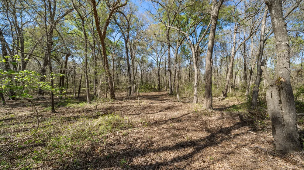 County Road 462 Mineola, TX 75773