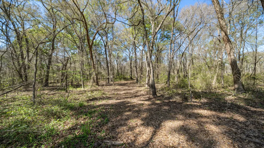 County Road 462 Mineola, TX 75773