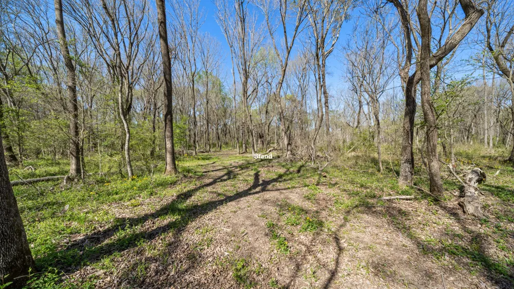 County Road 462 Mineola, TX 75773
