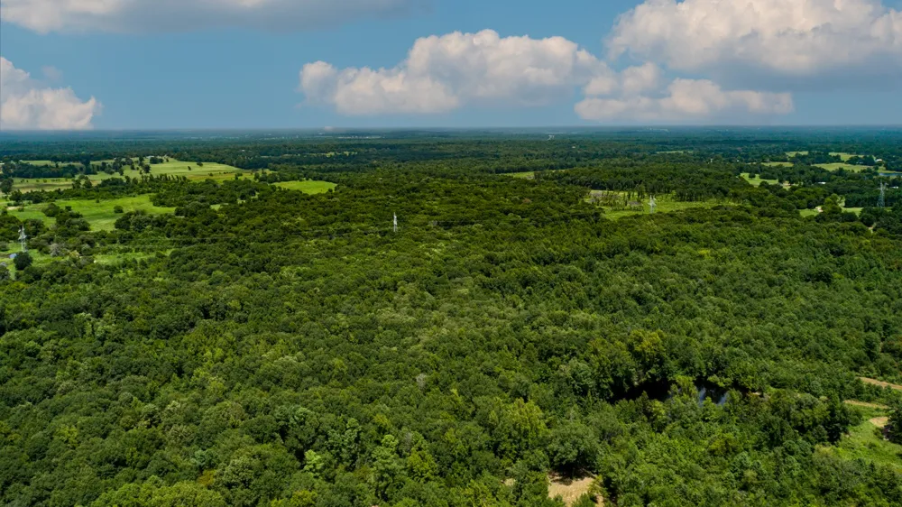 County Road 462 Mineola, TX 75773