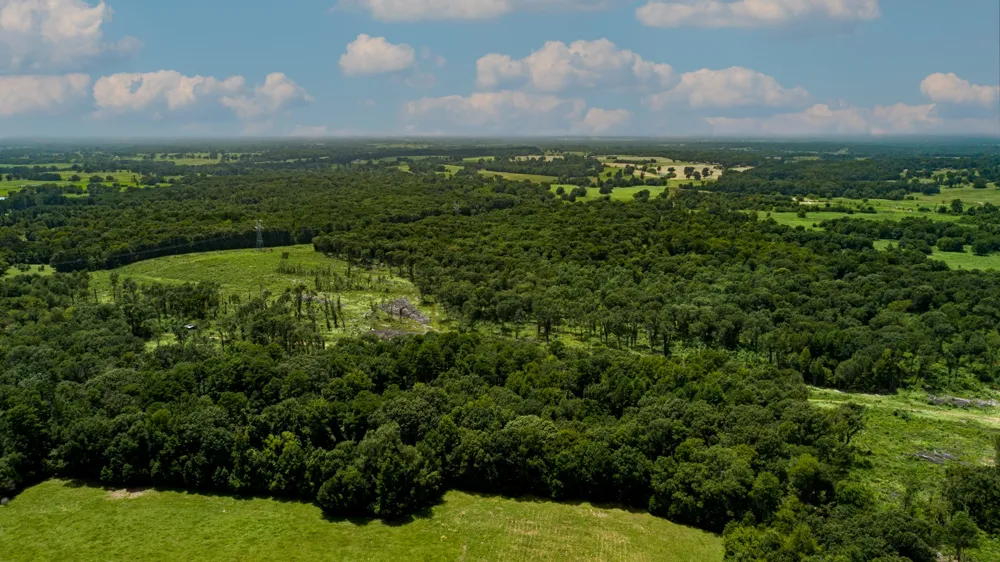 County Road 462 Mineola, TX 75773
