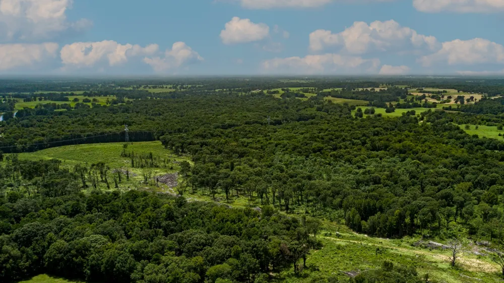 County Road 462 Mineola, TX 75773