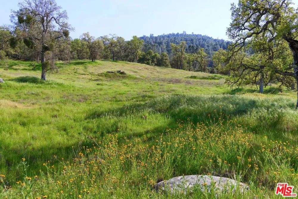 41924 Patrick Ave #TPN#4337/4 Coarsegold, CA 93614
