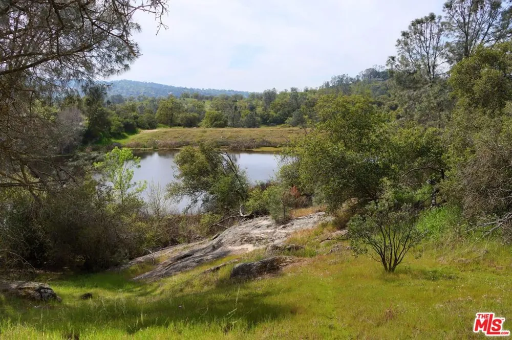 41924 Patrick Ave #TPN#4337/2 Coarsegold, CA 93614