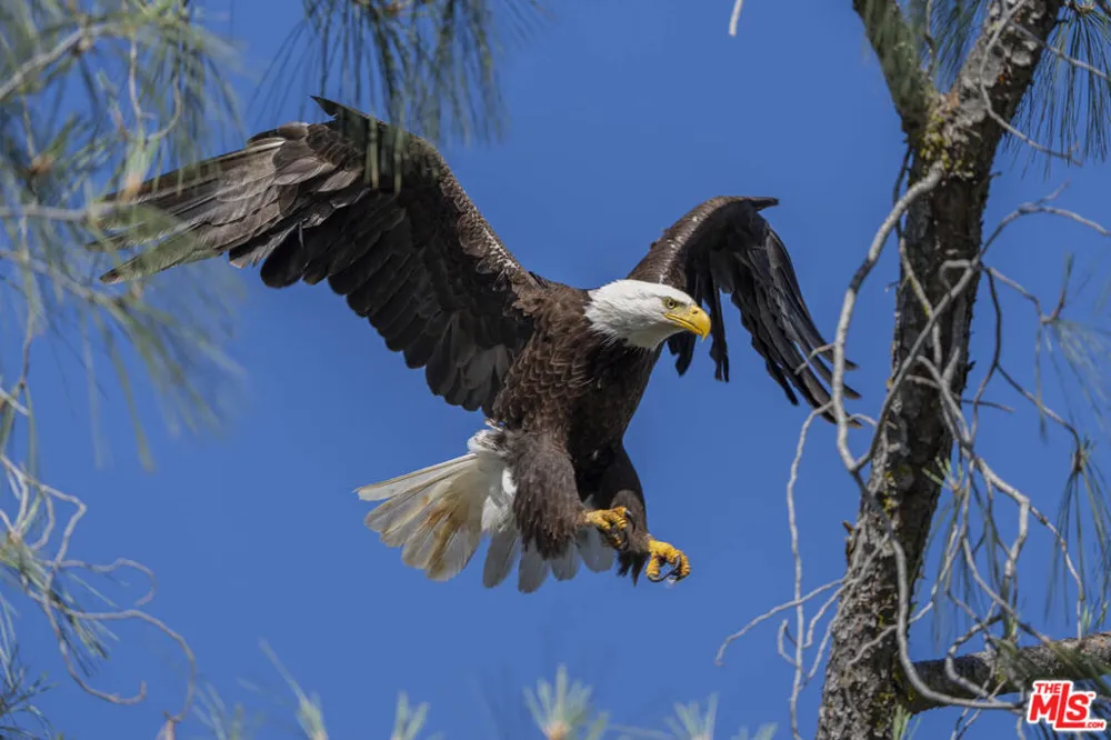 41924 Patrick Avenue #TPN#4337/1 Coarsegold, CA 93614