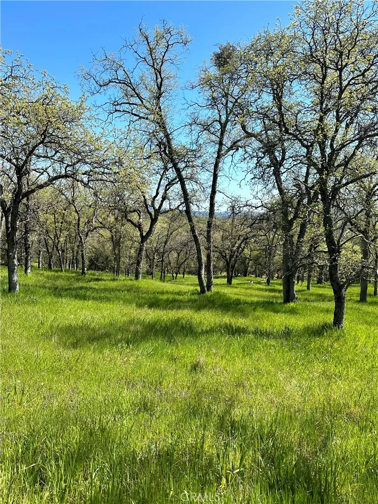 18461 Old Wards Ferry Road Sonora, CA 95370