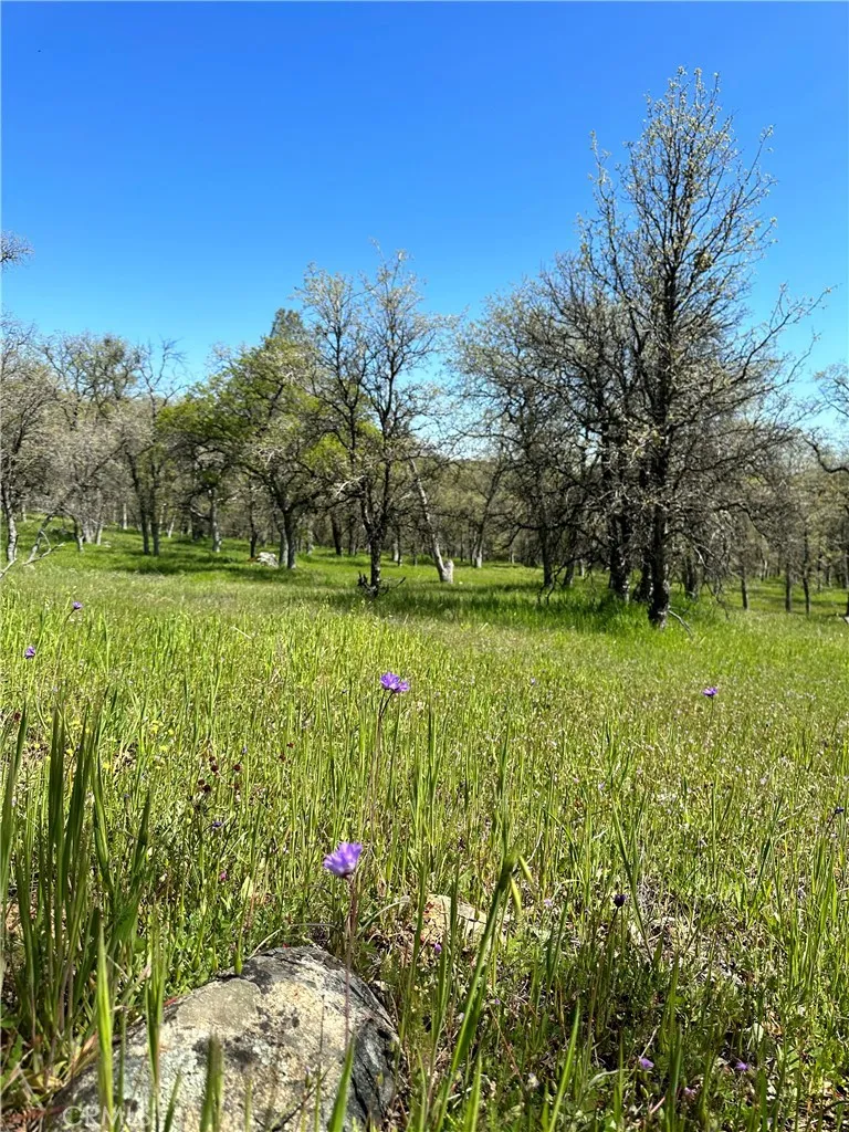 18461 Old Wards Ferry Road Sonora, CA 95370
