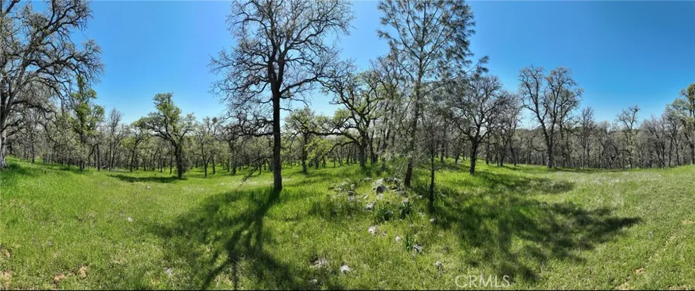 18461 Old Wards Ferry Road Sonora, CA 95370