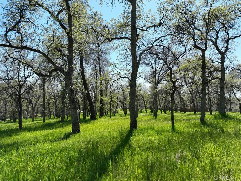 18461 Old Wards Ferry Road Sonora, CA 95370