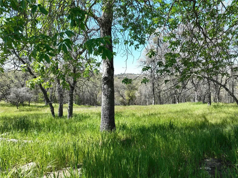 18461 Old Wards Ferry Road Sonora, CA 95370