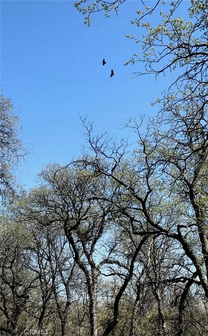 18461 Old Wards Ferry Road Sonora, CA 95370