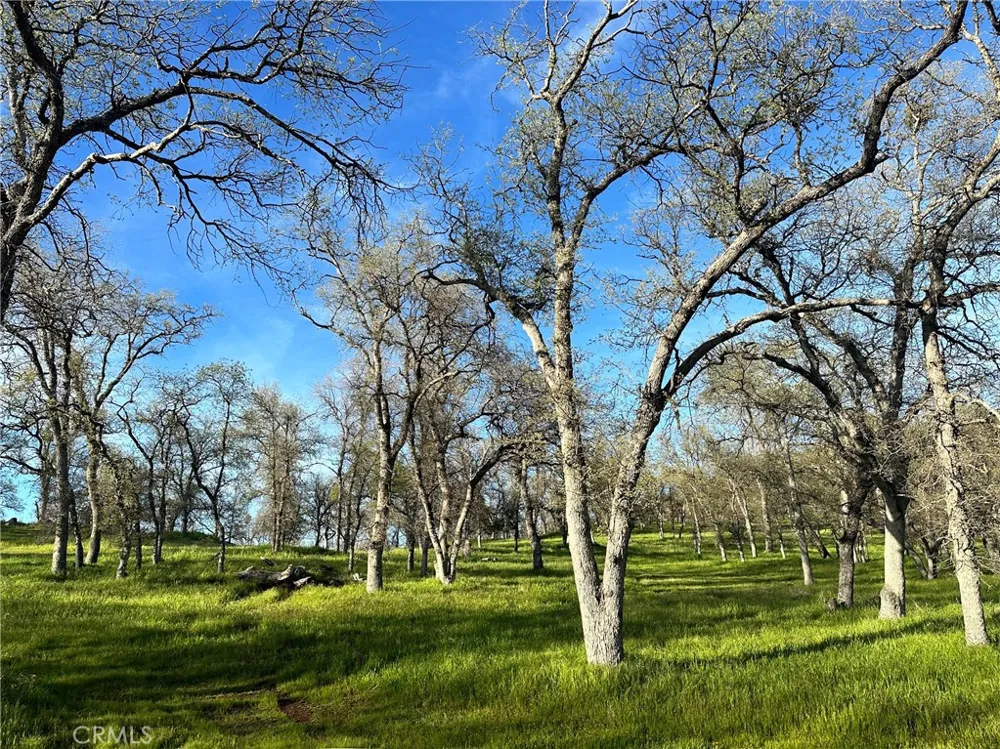 18461 Old Wards Ferry Road Sonora, CA 95370