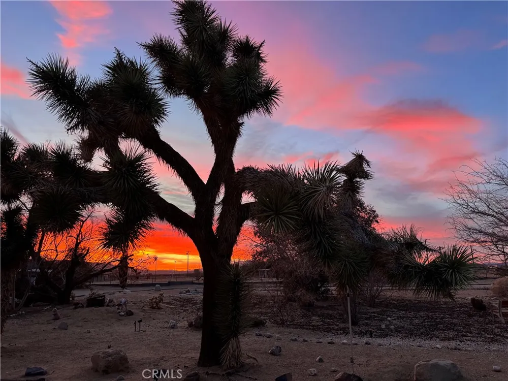 65585 4th Street S Joshua Tree, CA 92252