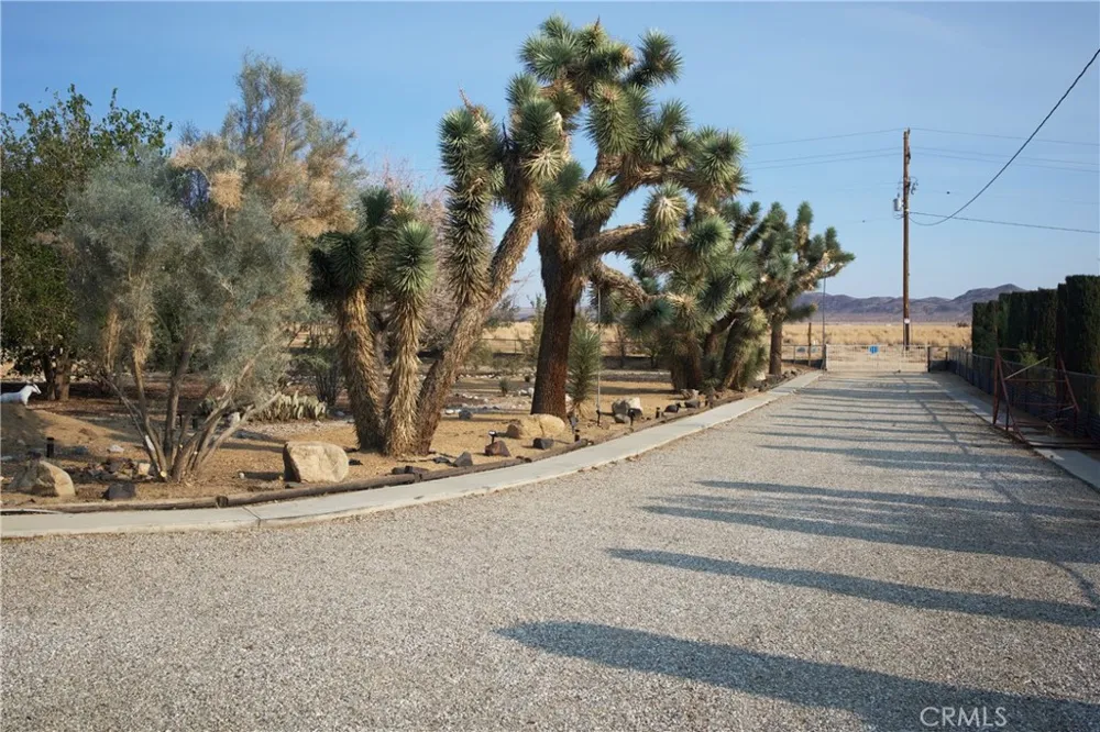 65585 4th Street S Joshua Tree, CA 92252