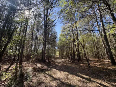 County Road 3930