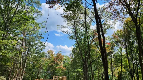 Lot 32 Calvender Road