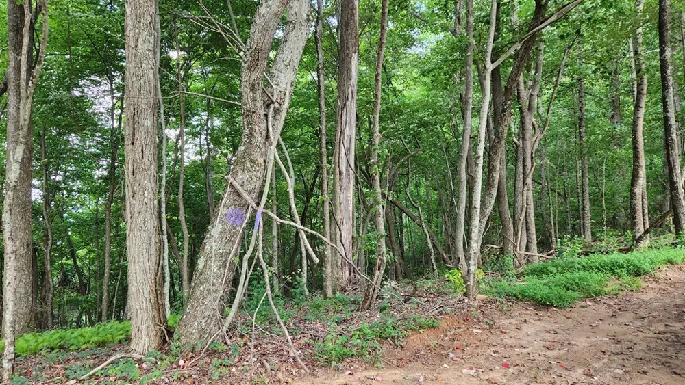 Lot 32 Calvender Road Turtletown, TN 37317