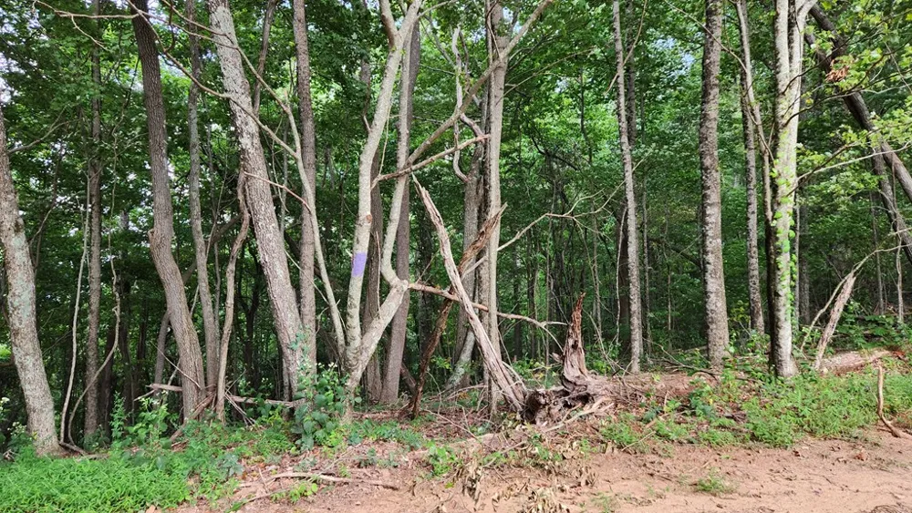 Lot 32 Calvender Road Turtletown, TN 37317