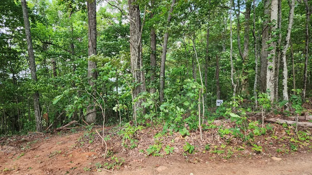 Lot 32 Calvender Road Turtletown, TN 37317
