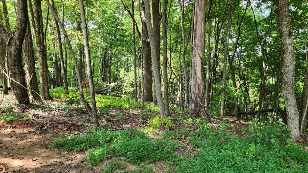 Lot 32 Calvender Road Turtletown, TN 37317