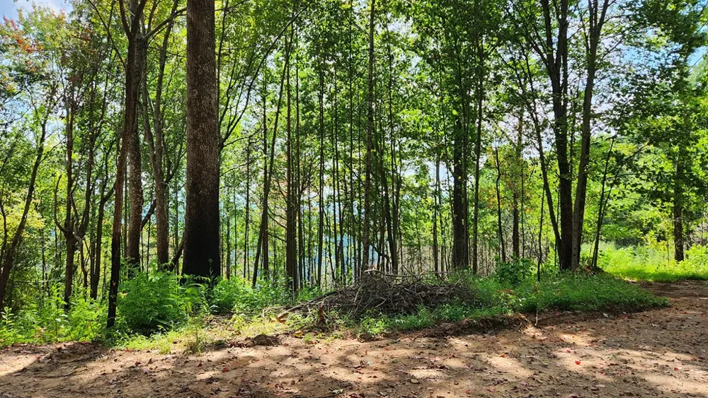 Lot 32 Calvender Road Turtletown, TN 37317
