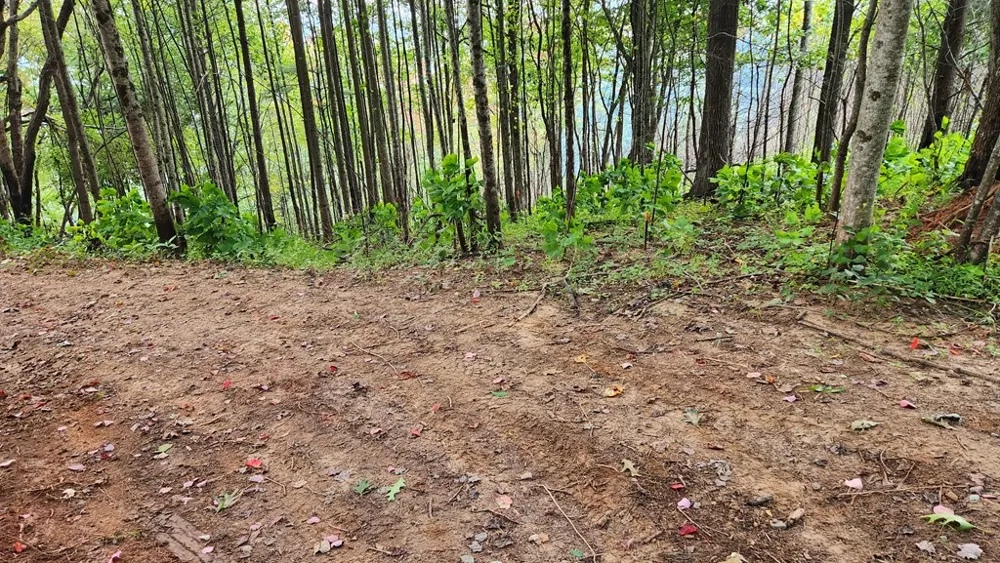 Lot 32 Calvender Road Turtletown, TN 37317
