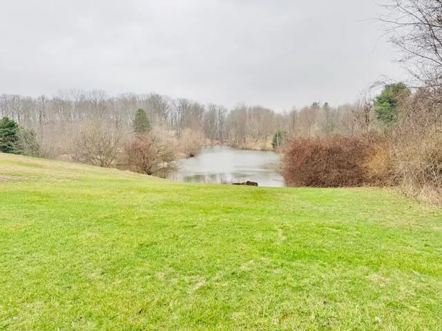 1306 Jack Henry Drive Kalamo Township, MI 48813