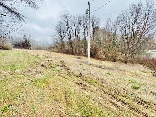 1306 Jack Henry Drive Kalamo Township, MI 48813