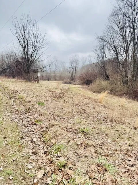 1306 Jack Henry Drive Kalamo Township, MI 48813