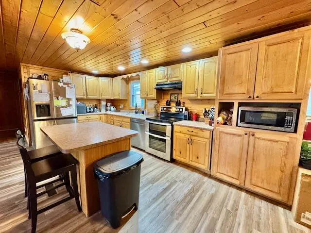 1306 Jack Henry Drive Kalamo Township, MI 48813