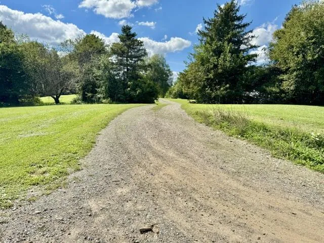 1306 Jack Henry Drive Kalamo Township, MI 48813