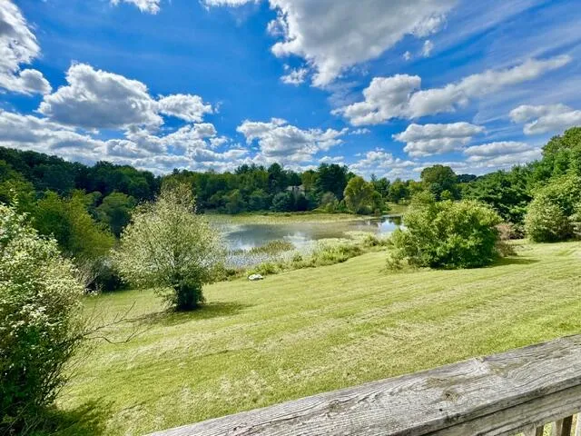 1306 Jack Henry Drive Kalamo Township, MI 48813