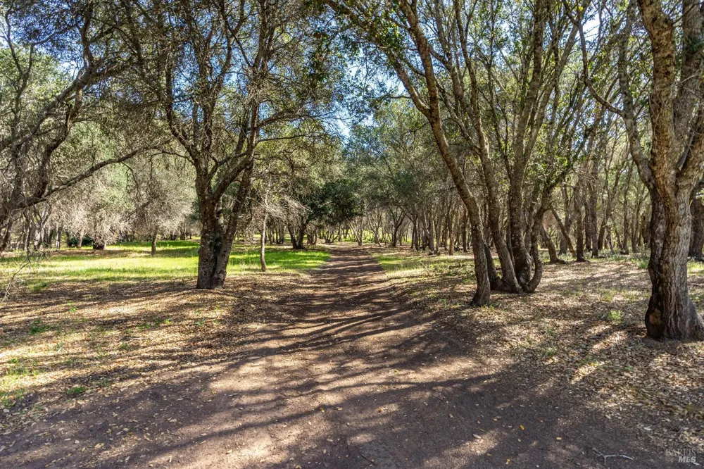 Franz Valley School Road Calistoga, CA 94515
