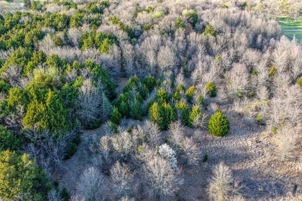CR 4112 Campbell, TX 75422