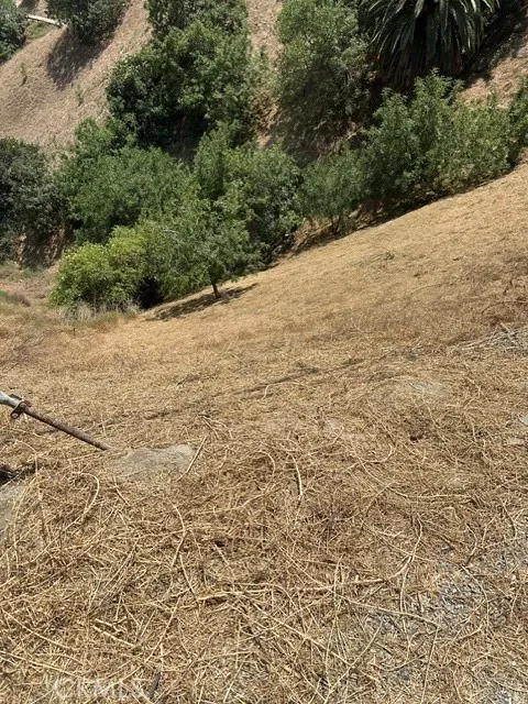 near paradise Dr El Sereno, CA 90063