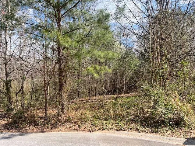 78 Heights Hollow Acworth, GA 30101