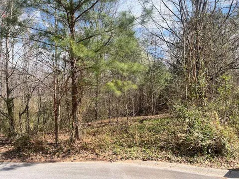 78 Heights Hollow