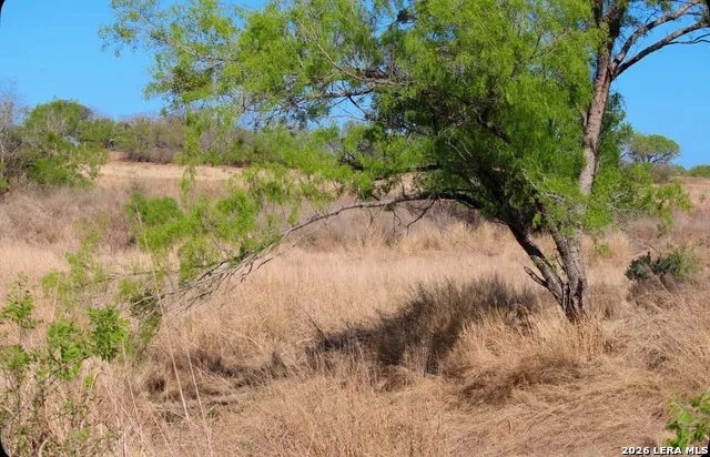435 County Road 7715 Devine, TX 78016